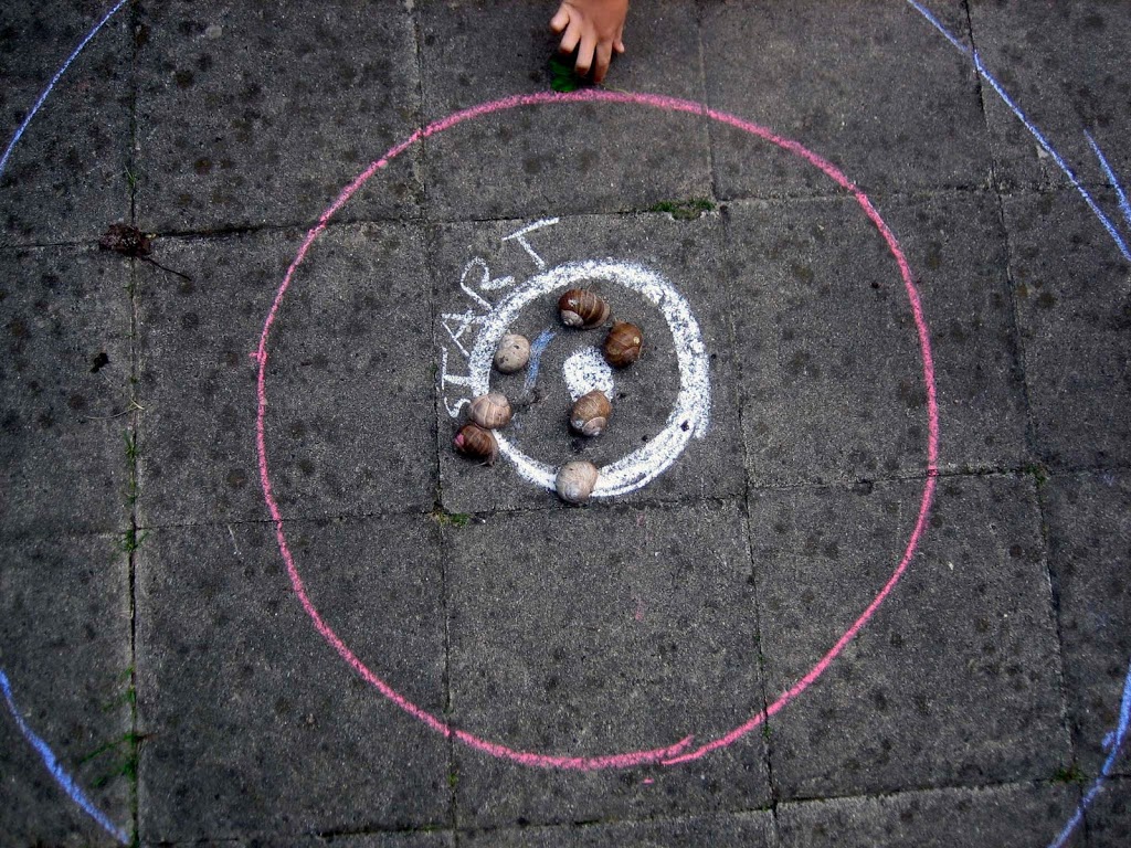 Snail race