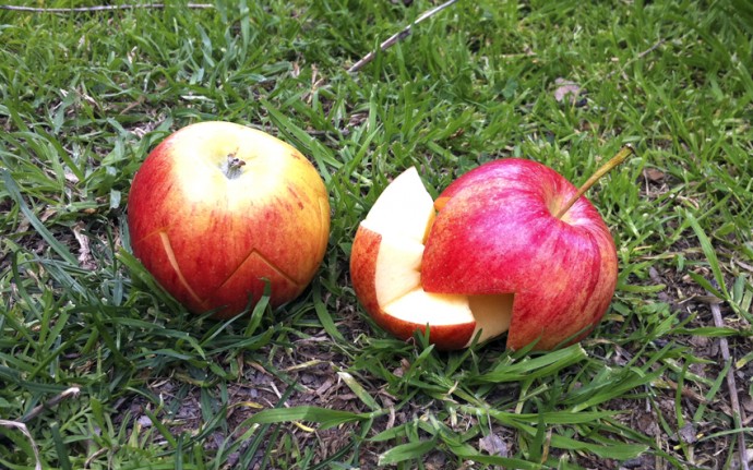 Kronenapfel