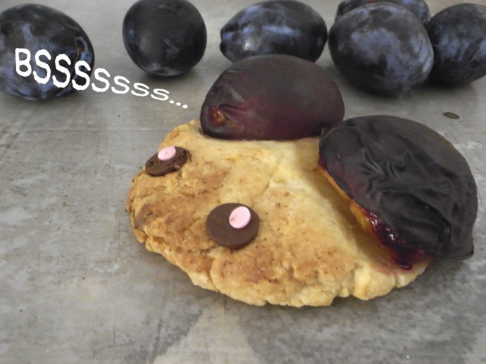 Pflaumenkuchen