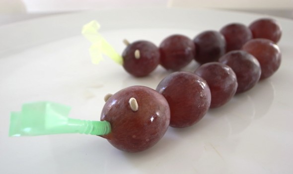 Gusano para la merienda
