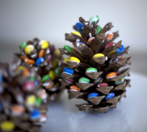 tannenzapfen verziehren kinder smarties weihnachten basteln diy fir cone christmas kids niños navidad manualidad piña