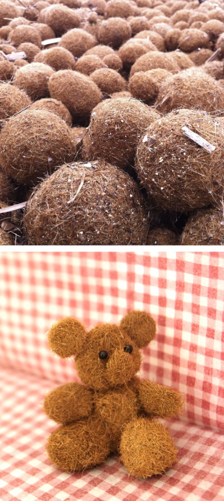 Seaweed ball teddy