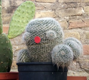 Cactus simpático