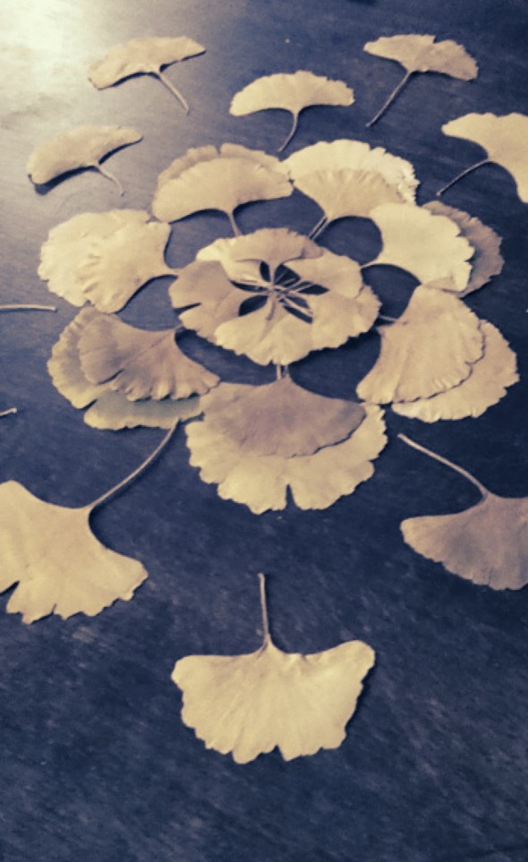 Mandala de ginkgo