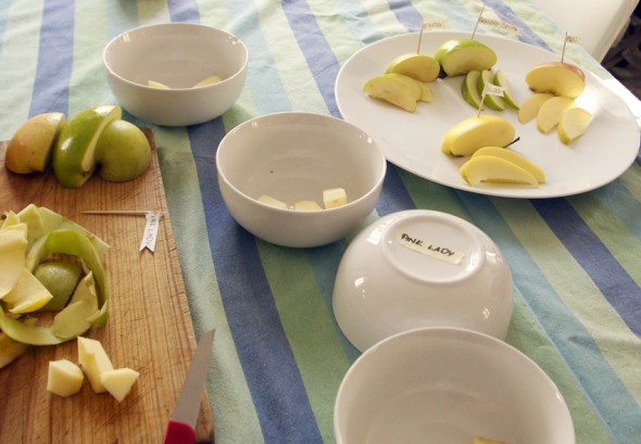 appels game taste fun kids äpfel geschmack spiel kinder spaß niños manzanas gusto juego divertido