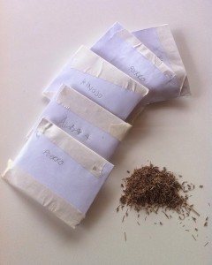 Seeds for next year
