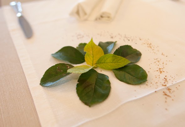 Una decoración de mesa preciosa