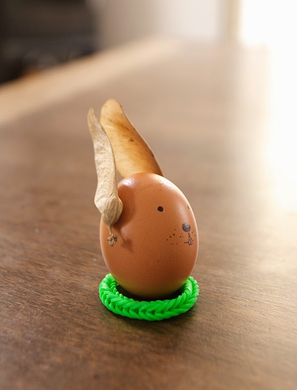 An other rabbit