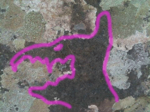 Rock art in the lichen