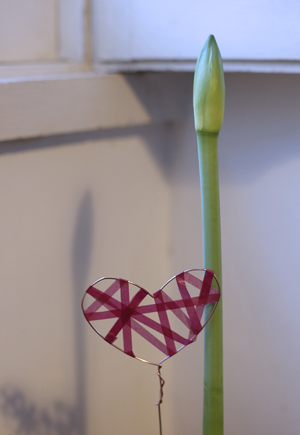 Valentinsherz
