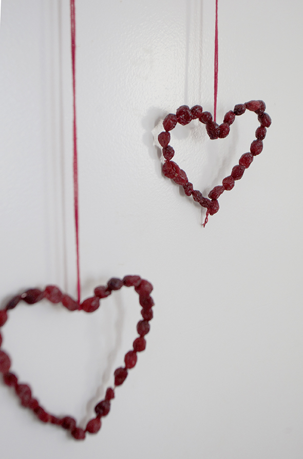 herzen draht getrocknete beeren alambre corazones bayas secas cadena hearts wire dried berries chain kids kinder pendant colgante kette anhänger