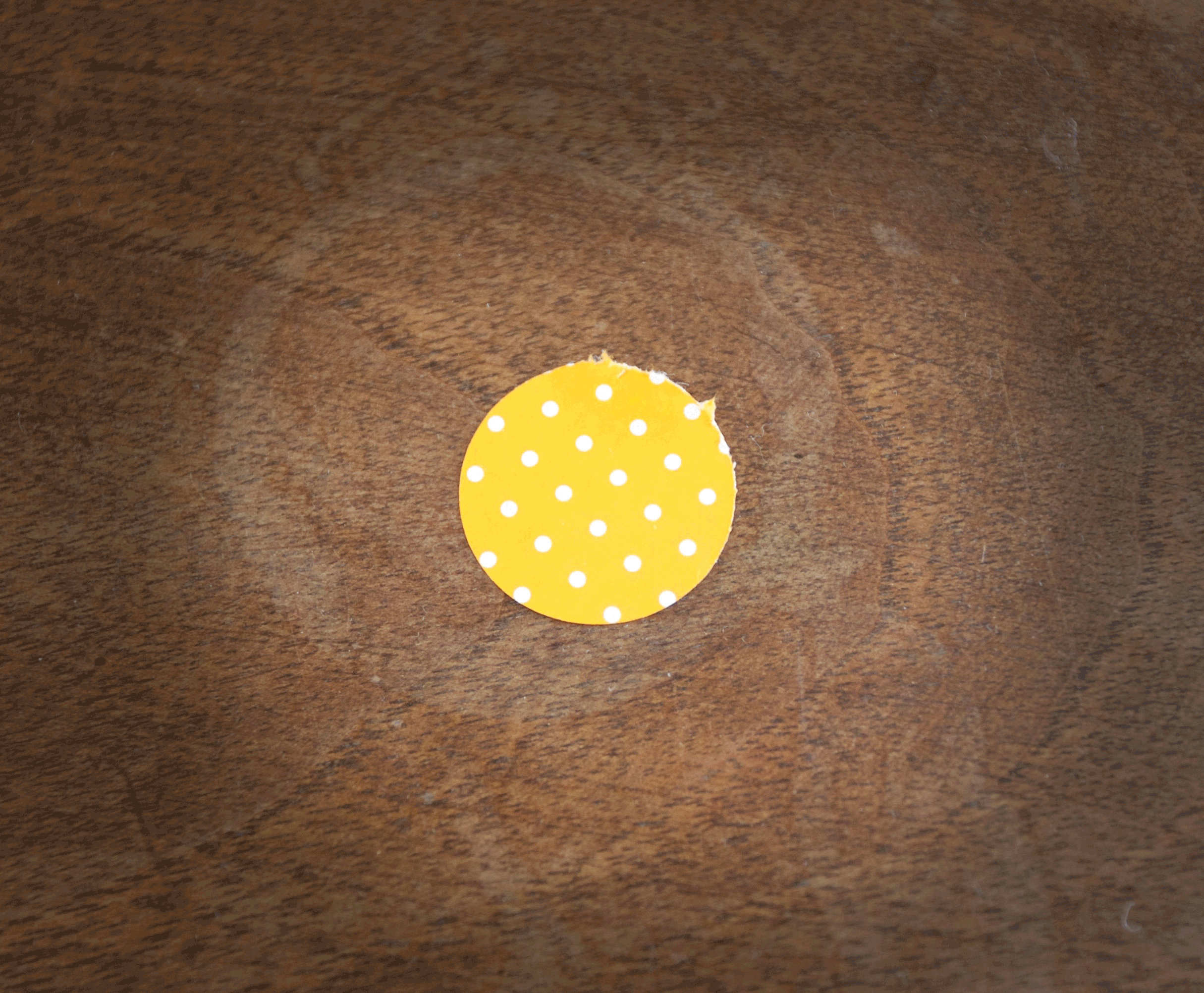 flores-flowers-blumen-origami-facil-einfach-easy-beautiful-dots