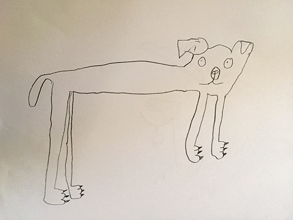 hund comparte piso perro dog