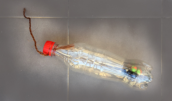 A toy for the dog