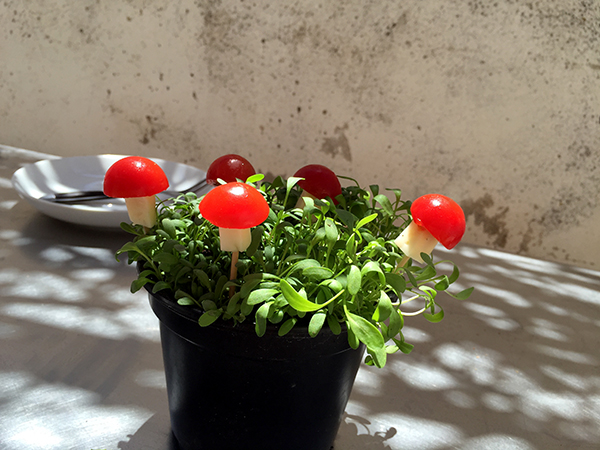 Setas de queso y tomate