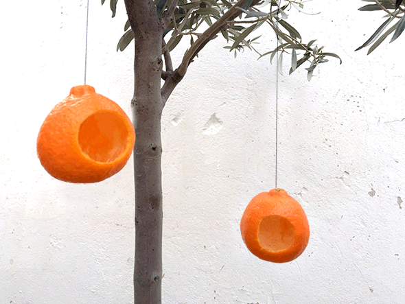 Vogelhaus aus einer Mandarine