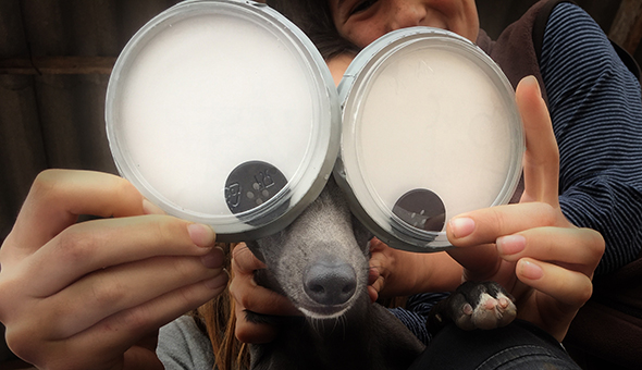 wackelaugen hund movingeyes ojo manualidad craft basteln kinder niños kids children