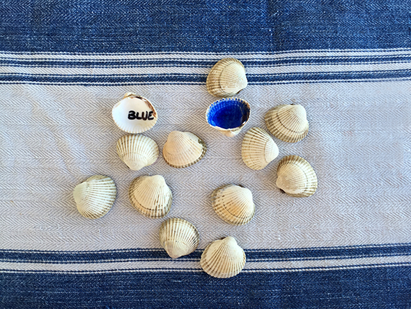 shells muscheln memory spiel juego aprender game idiomas languages sprachen spielen
