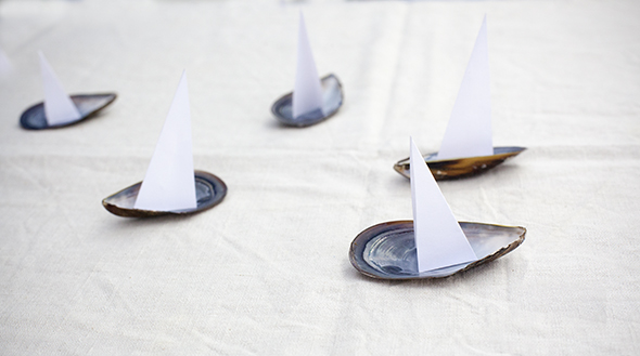 Mussel sailing boats