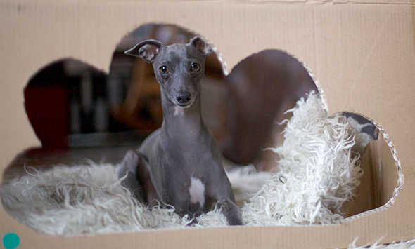 Fotoshooting mit Lu