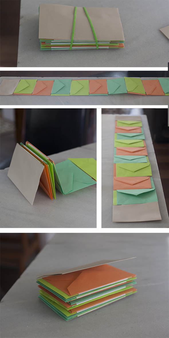 Noah's seed book
